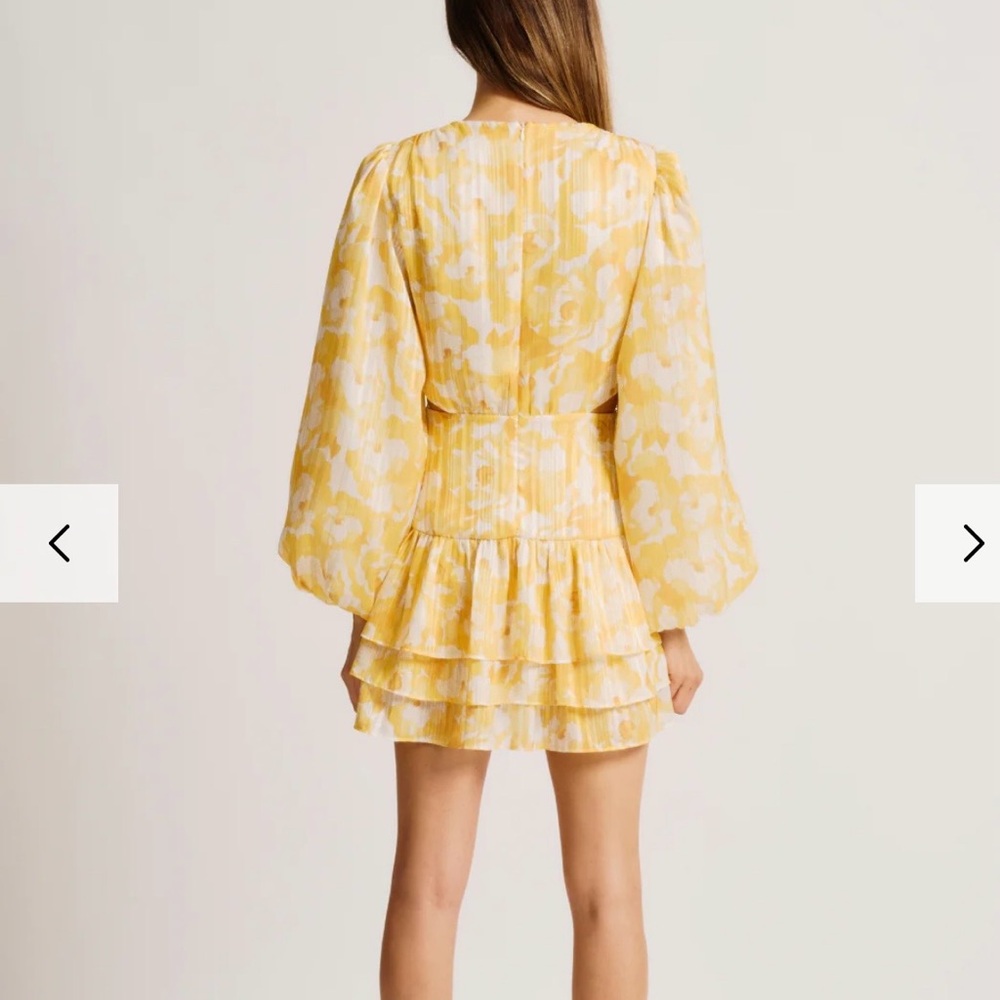 Torn by Ronny Kobo Yellow and Cream Mini Dress - Picture 3 of 5